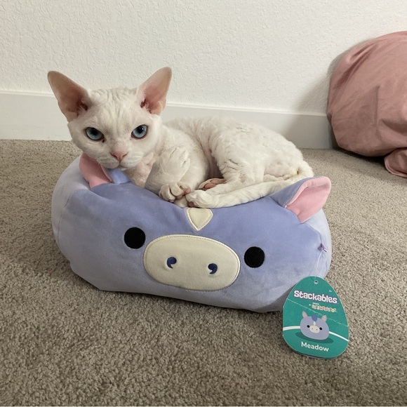 Meet your Posher, Eva - Picture 2 of 13